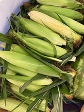 corn