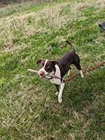 Rufina